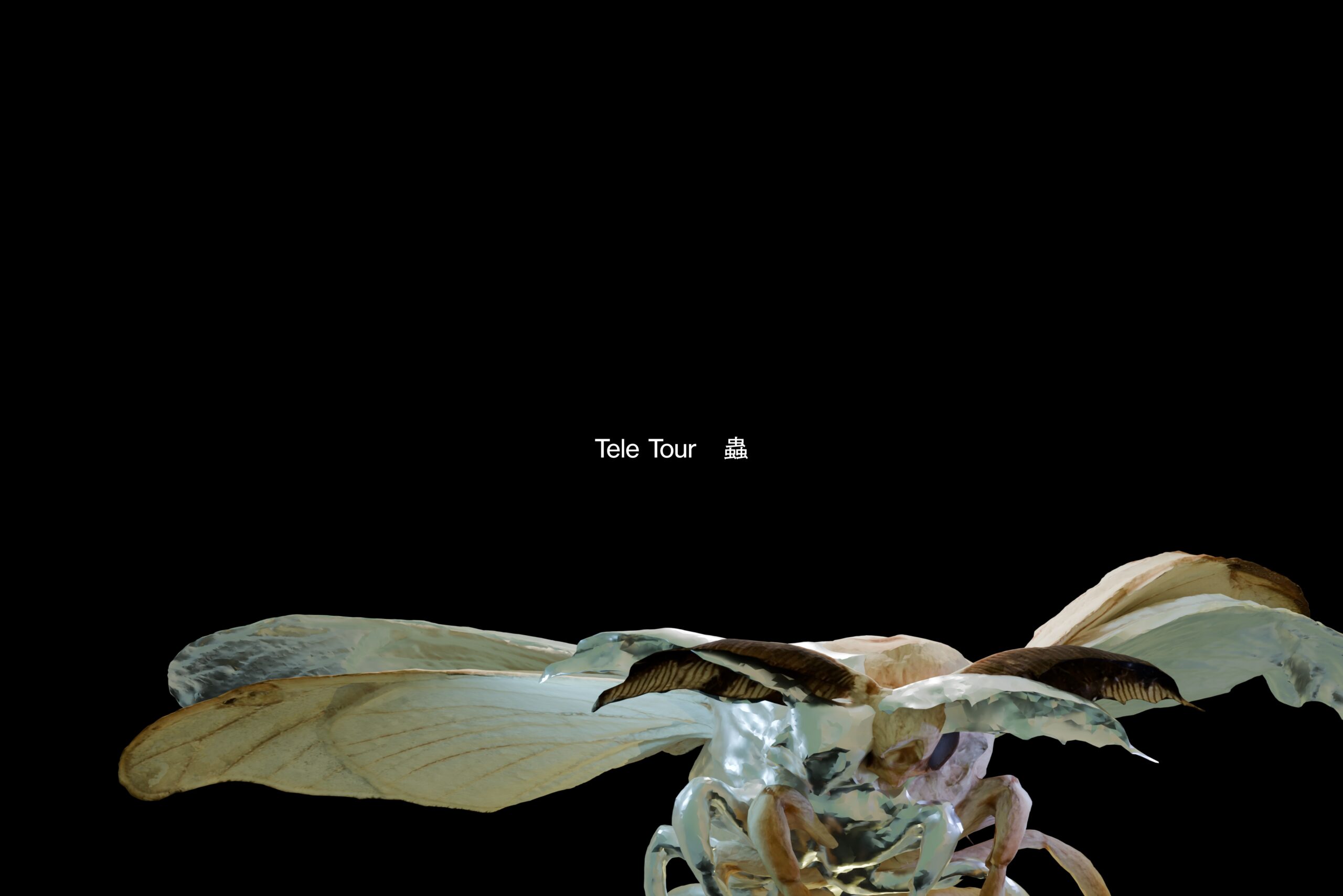 て*れ様 Tele ライブ満喫セット Teleライブセット ライブディオZX